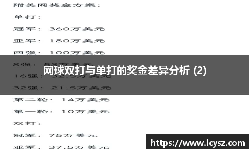 网球双打与单打的奖金差异分析 (2)